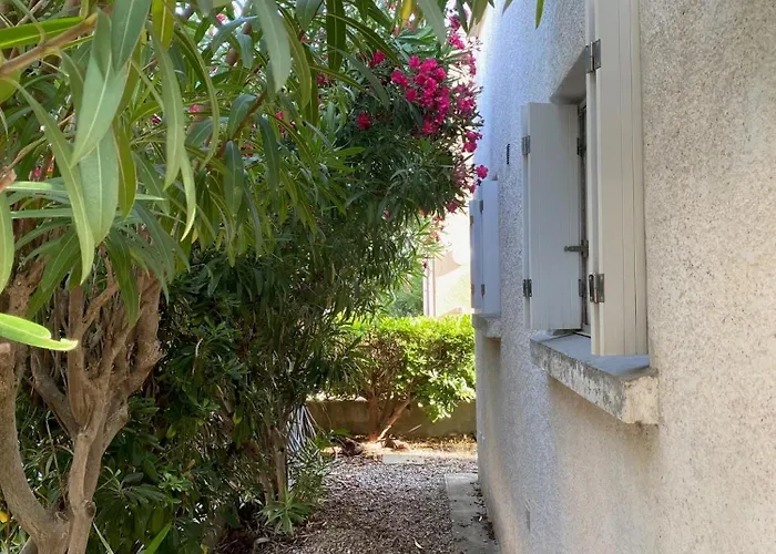 Maison 300 M De La Avec Un Bel Exterieur 펜션 *