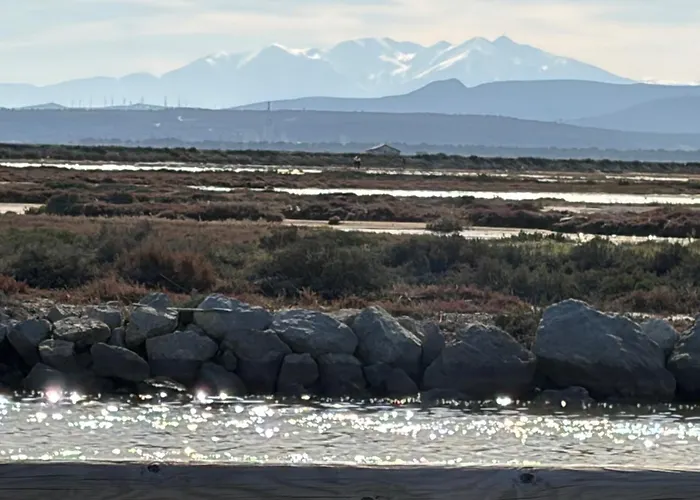 Maison 300 M De La Avec Un Bel Exterieur Gruissan